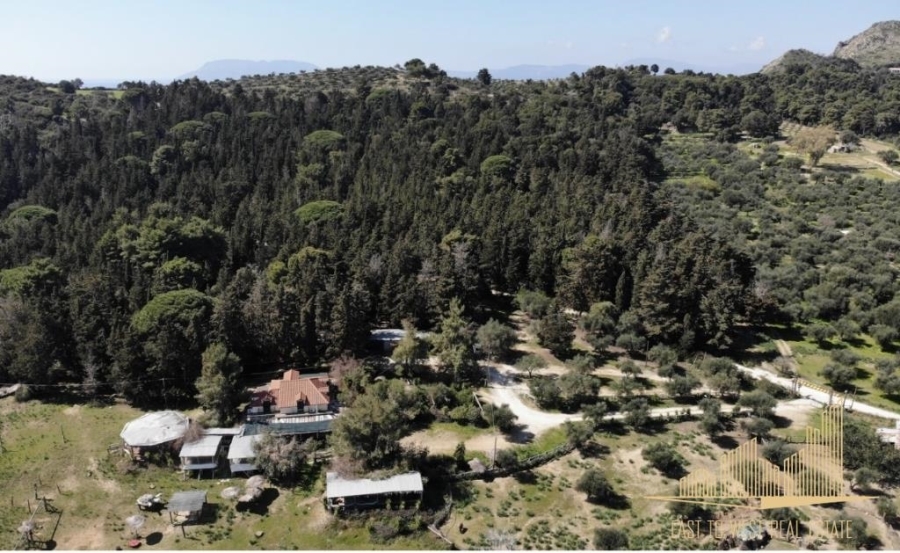 (For Rent) Land Plot || Zakynthos (Zante)/Zante Chora - 12.000 Sq.m 