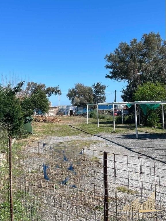 (For Sale) Land || East Attica/Artemida (Loutsa) - 987 Sq.m, 480.000€ 