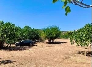 (For Sale) Land Agricultural Land  || East Attica/Markopoulo Mesogaias - 1.411 Sq.m, 450.000€ 